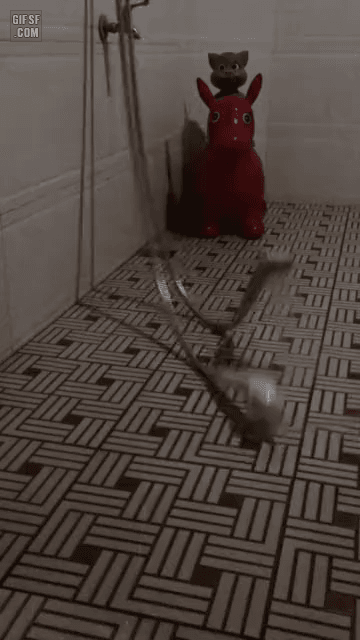 155948764911032.gif