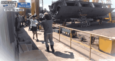 155951593410018.gif
