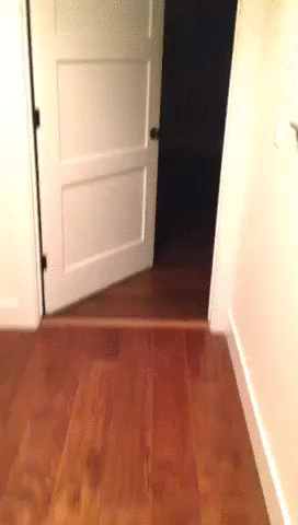 155951733618164.gif