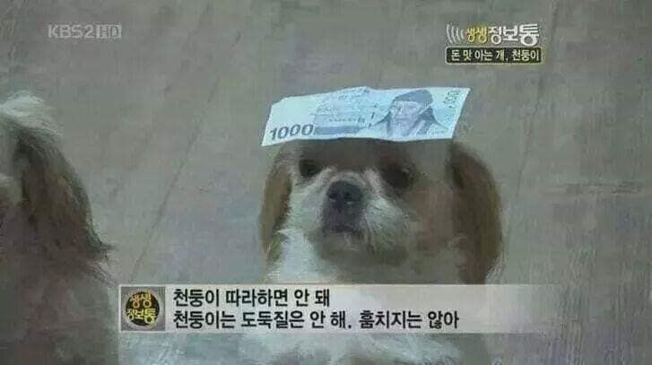 155952840567659.jpeg