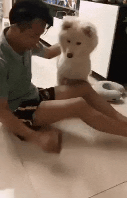 155963525464664.gif