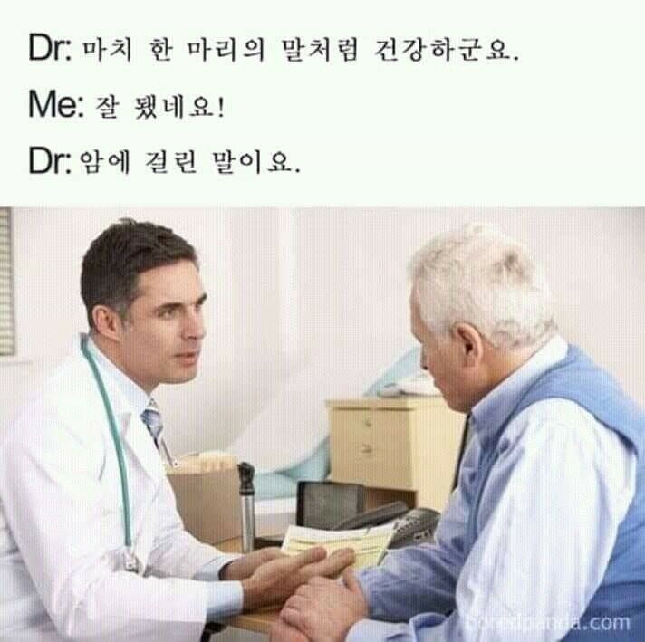 155963673597606.jpg