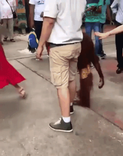 155963970842571.gif