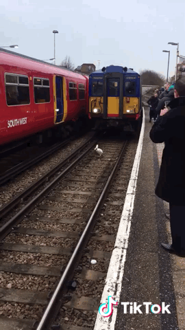 155972673958200.gif