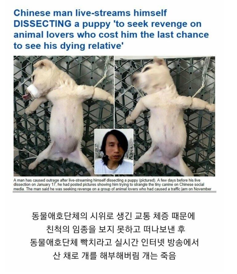 156074985435296.jpg