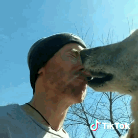 156075239123876.gif