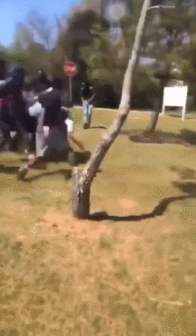 156099281754902.gif