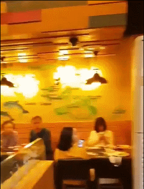 156099343139131.gif