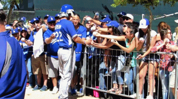 156333089241684.gif