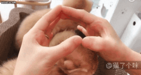 156350928187051.gif