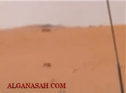 156352753984851.gif