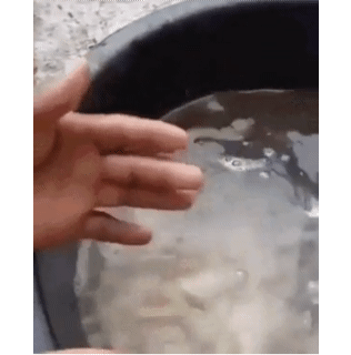 156450051296391.gif