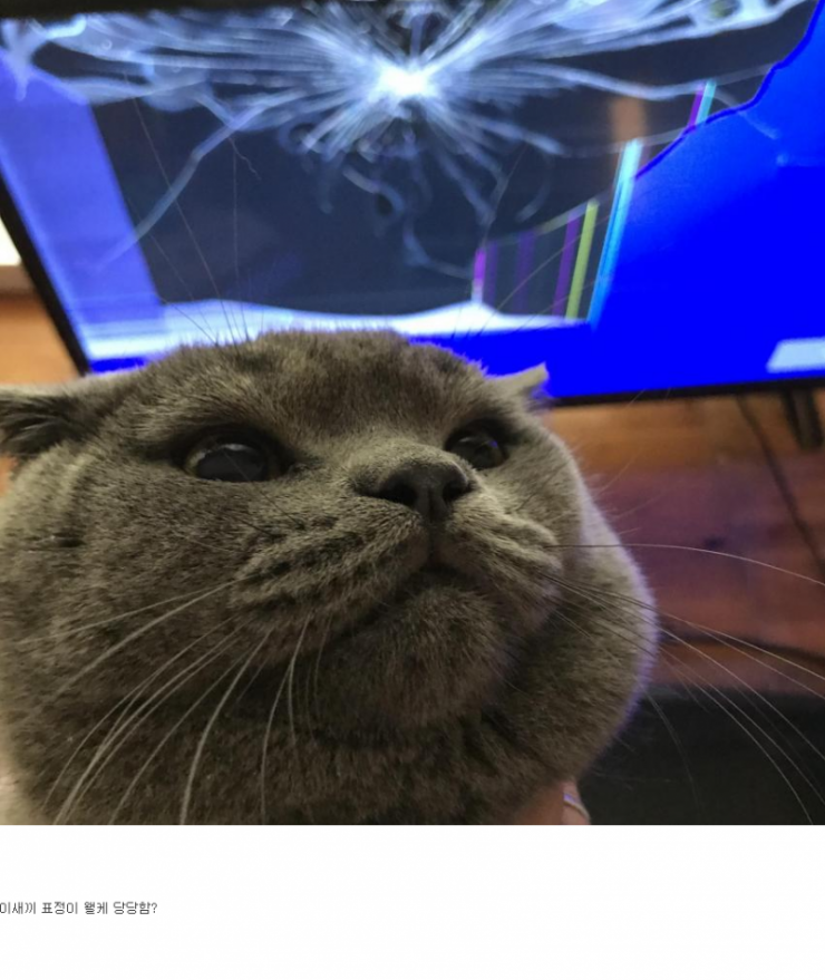 156525308642974.png
