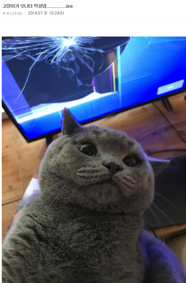 156525310598977.png