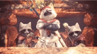156567237417525.gif