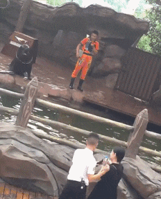 156567425571890.gif
