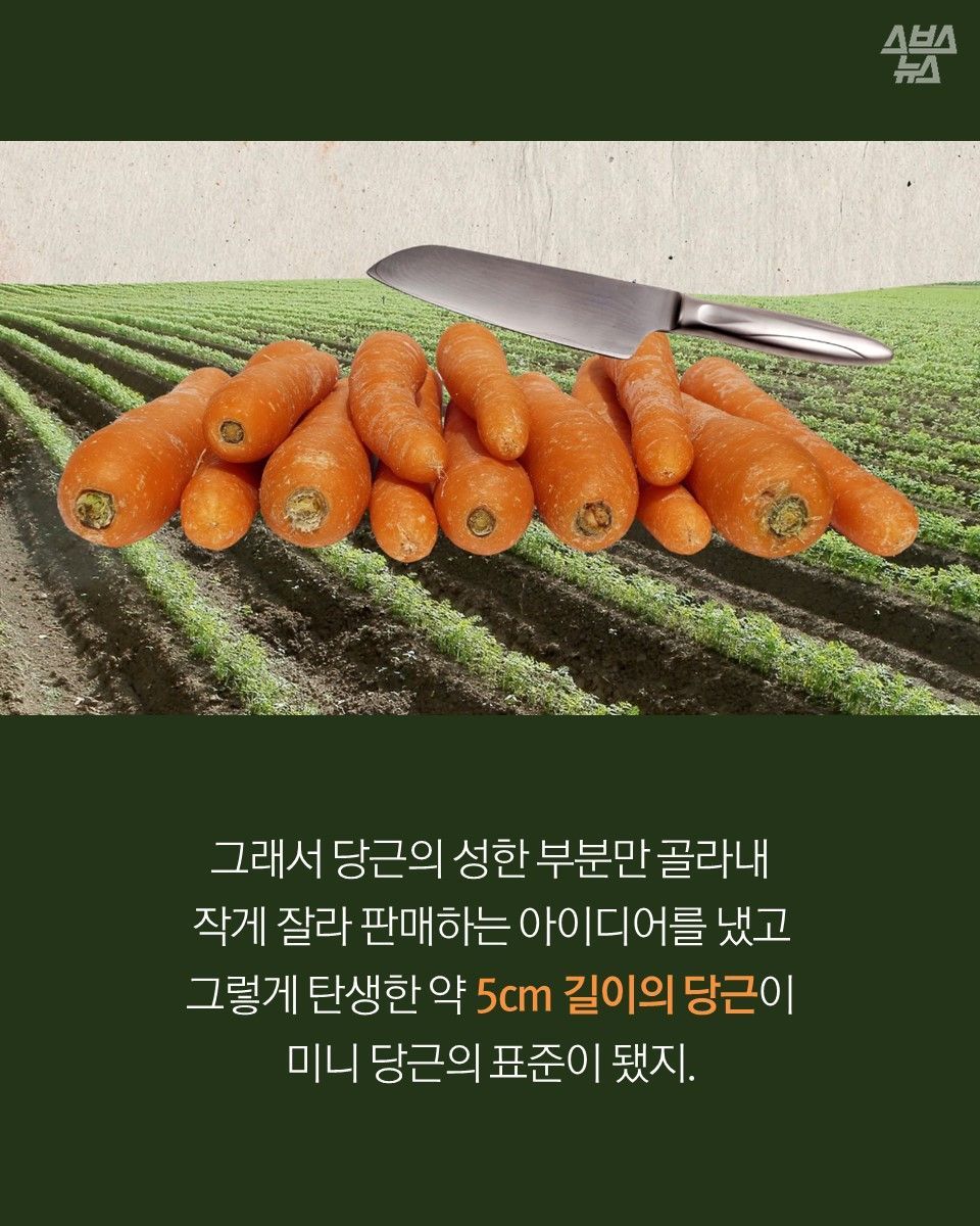 156567761413186.jpg