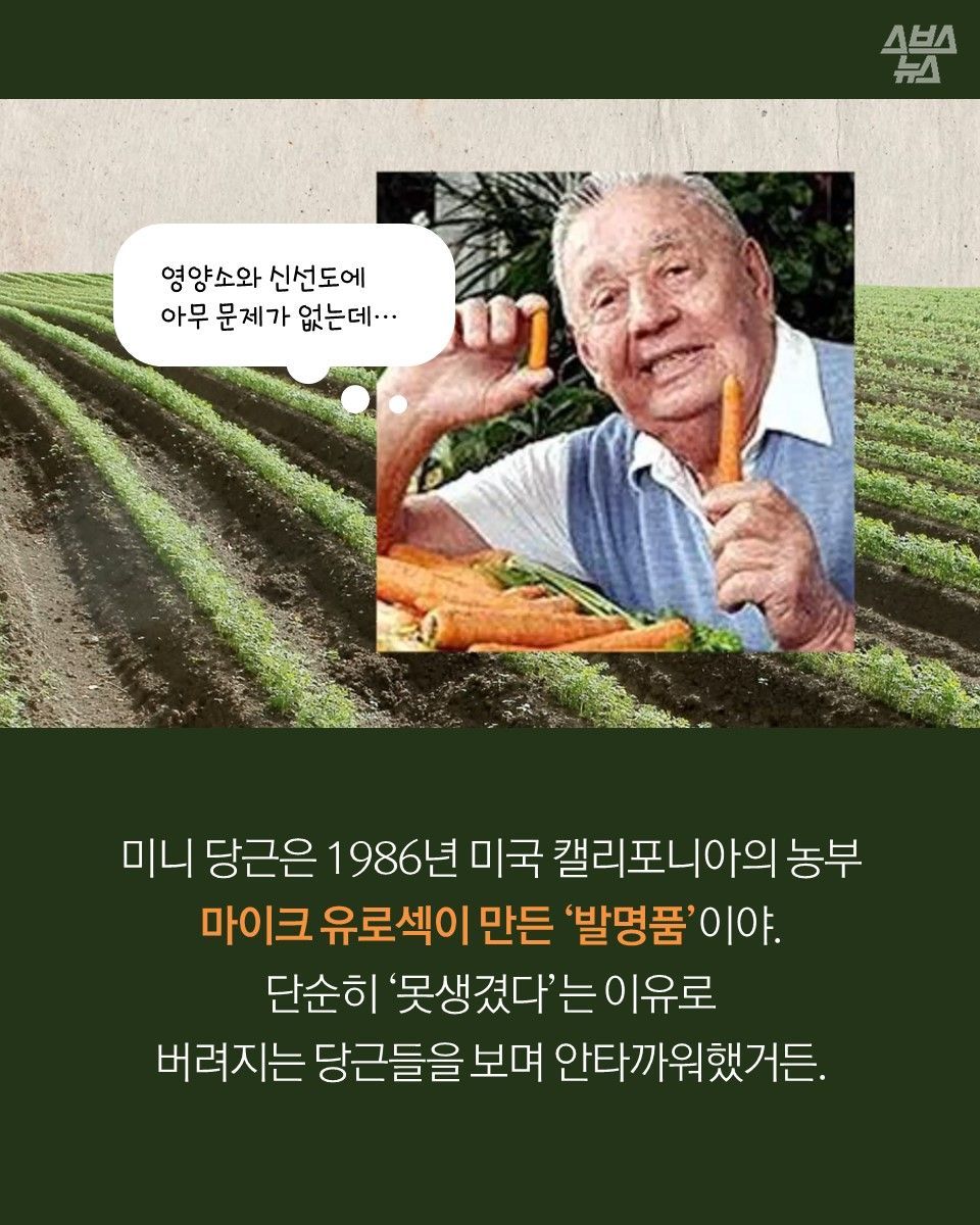 156567761572292.jpg