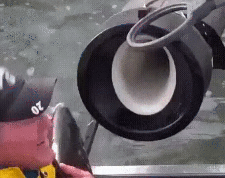 156583976355829.gif