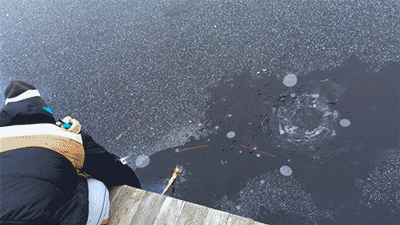 156663818368104.GIF