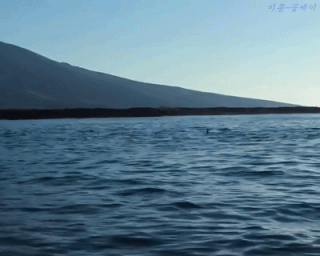 156679951255416.gif