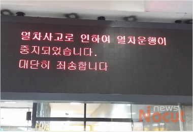 156680056318695.jpg
