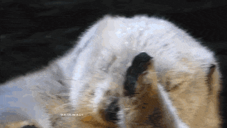156680906956188.gif