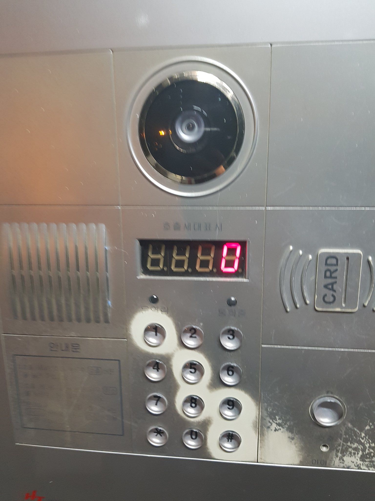 156681024364931.jpg