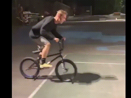 156686433315323.gif