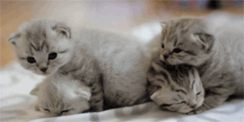 156686473392175.gif
