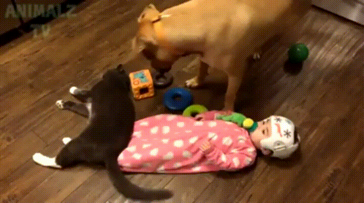156689636122891.gif