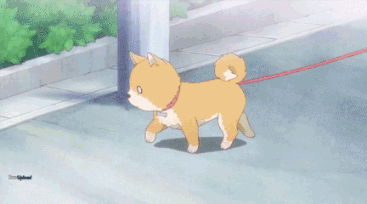 156690270527739.gif