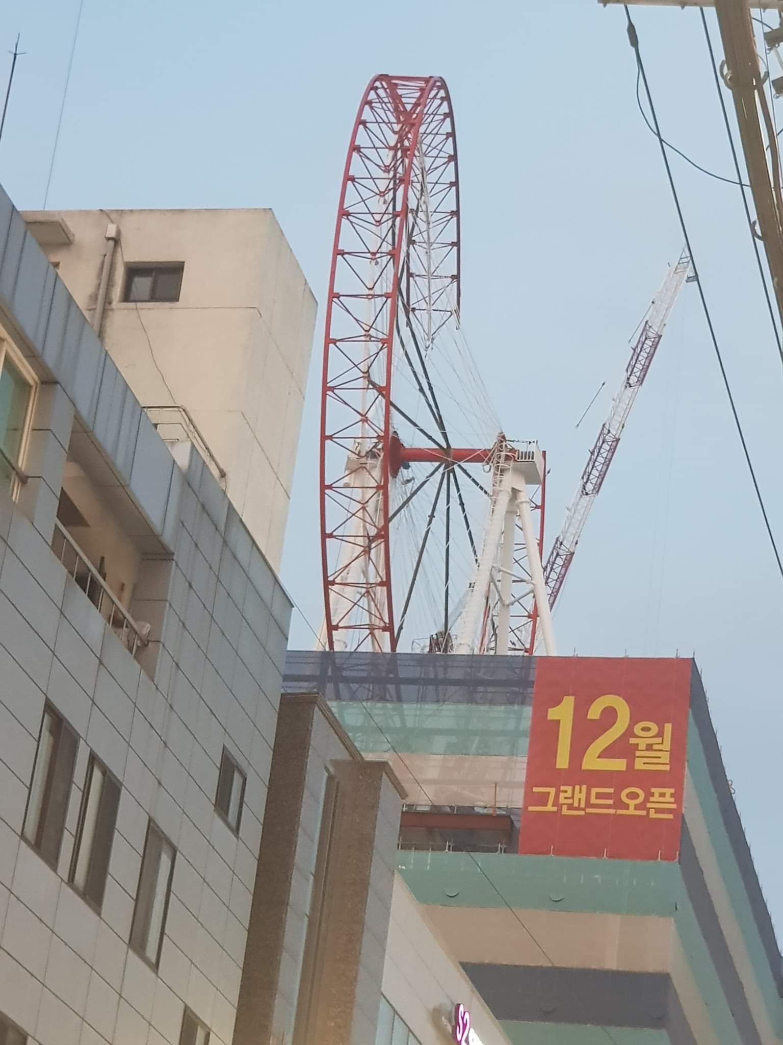 156690820271094.jpg