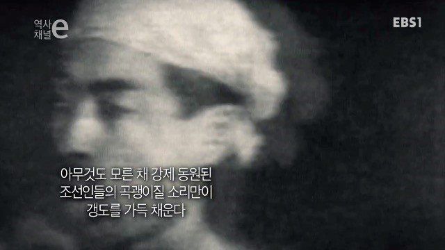 156691621462155.jpg