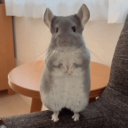 156691661221845.gif