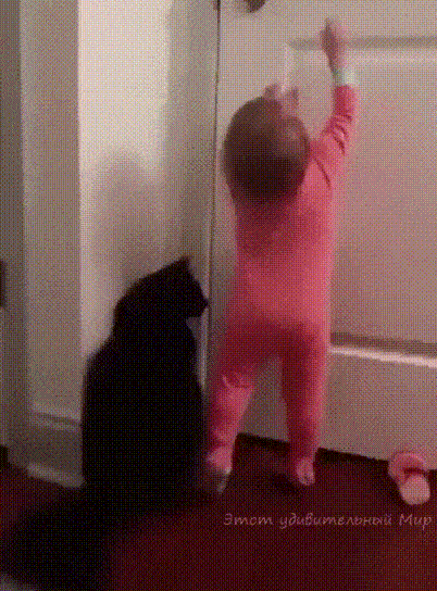156696151144875.gif