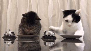 156696191028016.gif