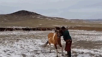 156841591857689.gif