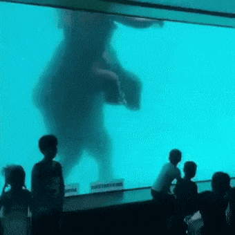 156928316626391.gif