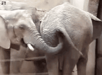 157010054732601.gif