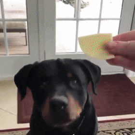 157019375466598.gif