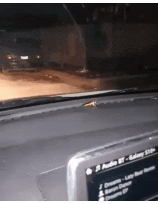 157019586718084.gif
