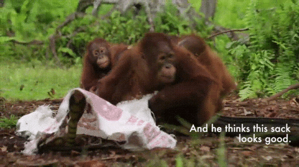 157019729980231.gif