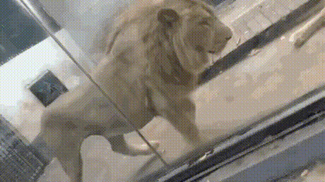 157020406571011.gif