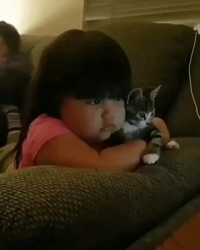 157122848079827.gif