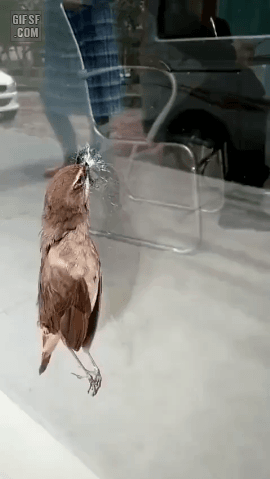 157125847959510.gif