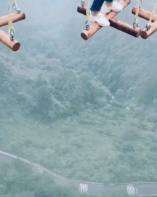 157125862112347.gif