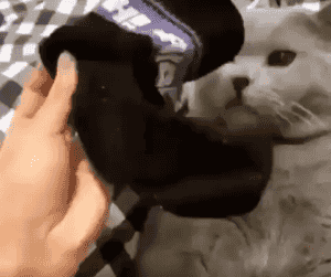 157125863777717.gif