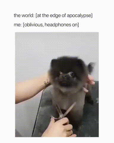 157125868770456.gif