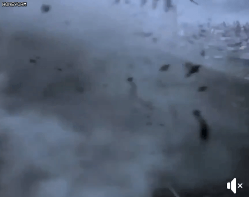 157125900985030.gif